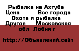 Рыбалка на Ахтубе › Цена ­ 500 - Все города Охота и рыбалка » Другое   . Московская обл.,Лобня г.